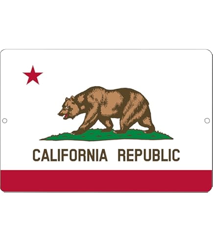 Amazon.com: Metal California Republic Surfboard Bear State Flag